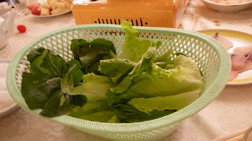 Lattuga Iceberg