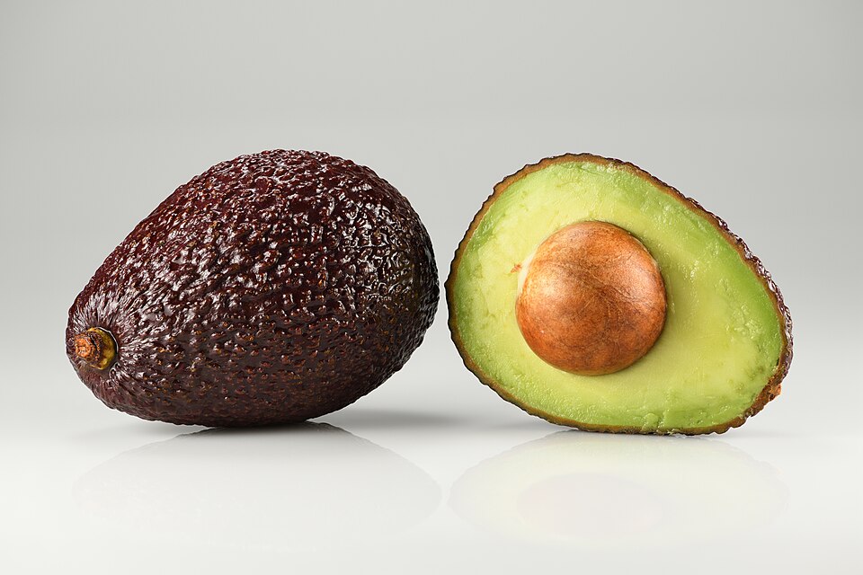 Avocado Hass