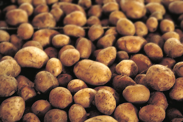 Patate Novelle