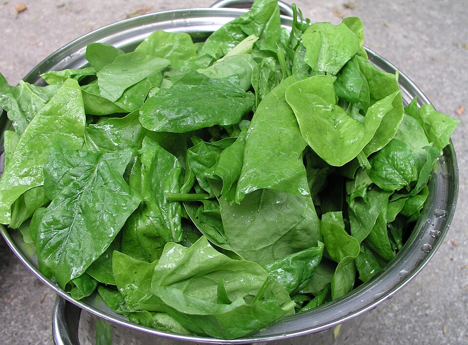 Spinaci